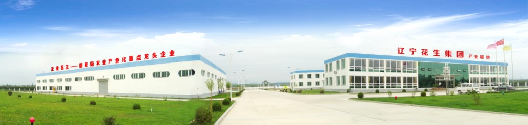 葫蘆島市委常委、副市長張明謙蒞臨遼寧花生集團(tuán)考察指導(dǎo)(圖3)