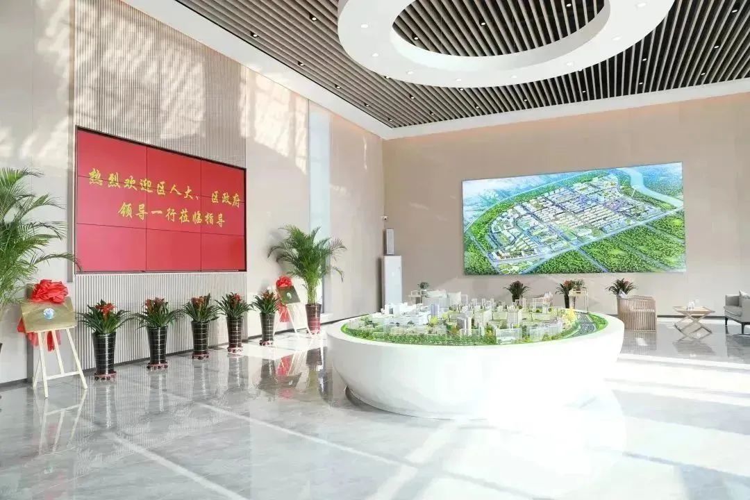 龍港區(qū)人大、區(qū)政府領導一行視察調(diào)研龍港國際醫(yī)療健康產(chǎn)業(yè)園(圖2)