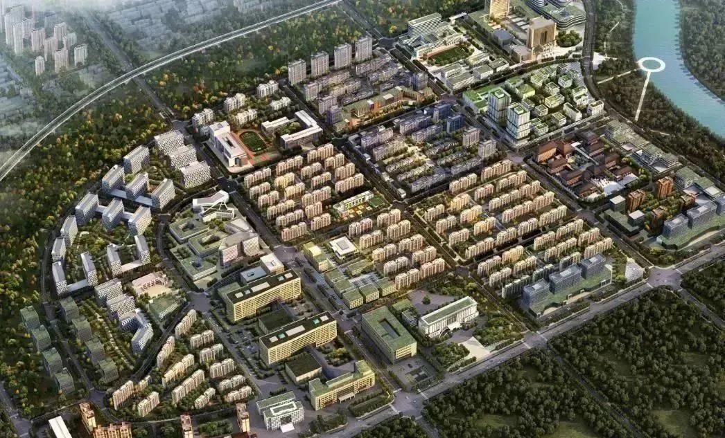 龍港區(qū)人大、區(qū)政府領導一行視察調(diào)研龍港國際醫(yī)療健康產(chǎn)業(yè)園(圖18)