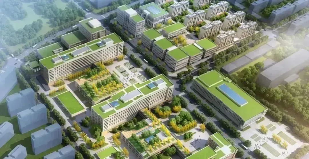 龍港區(qū)人大、區(qū)政府領導一行視察調(diào)研龍港國際醫(yī)療健康產(chǎn)業(yè)園(圖23)